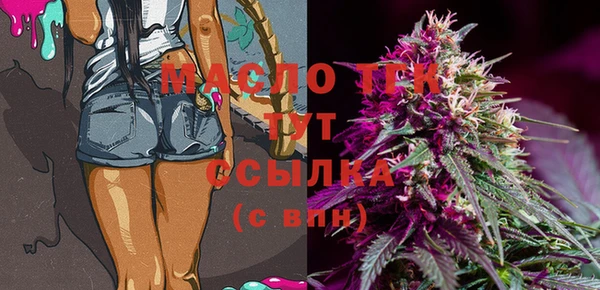 стаф Аркадак