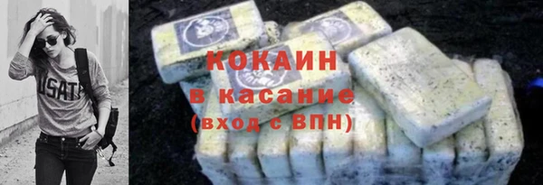 стаф Аркадак