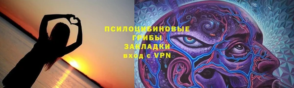стаф Аркадак