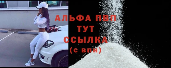 стаф Аркадак
