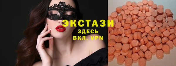 стаф Аркадак