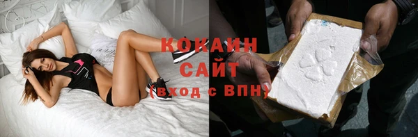стаф Аркадак