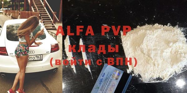стаф Аркадак