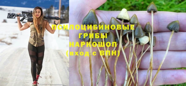 apvp Арсеньев