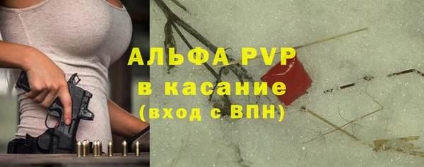 стаф Аркадак