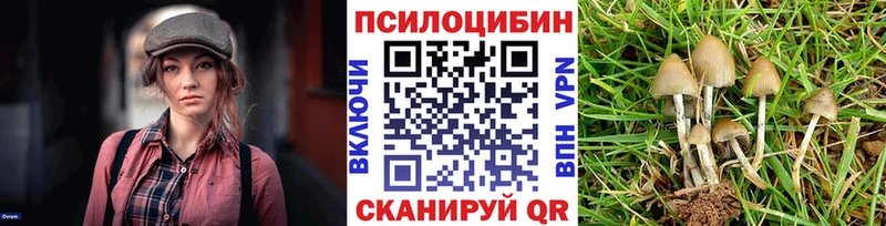 купить наркоту  Лахденпохья  Галлюциногенные грибы Cubensis 