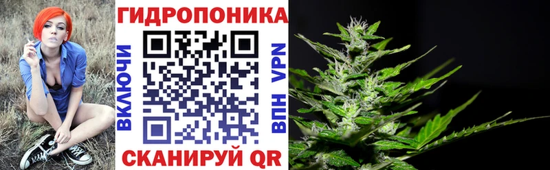 МАРИХУАНА VHQ  Лахденпохья 